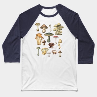 Vintage Mushrooms Dark Academia Illustrations Baseball T-Shirt